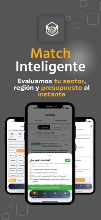 Match inteligente: porcentaje de compatibilidad evaluado por sector, región y presupuesto